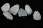 ceramic teeth_331230893