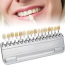 シェイド_コピー